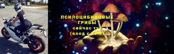 стаф Белокуриха