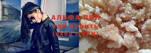 стаф Белокуриха